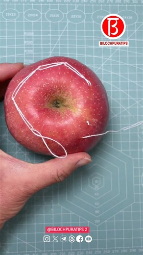 Ancient Invisible Needle Techniques Needlework