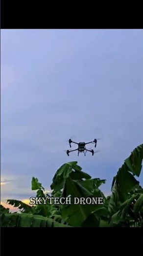 Drone Flying Over Beautiful Rice Fields 🌾 | Aerial View Nature Relaxing Video