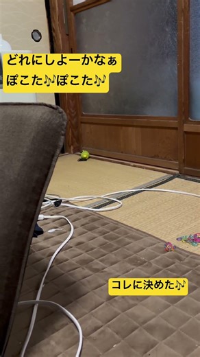 おもちゃ選び迷って、ノリノリで、おしゃべりしてー洗濯バサミに決定❗️
