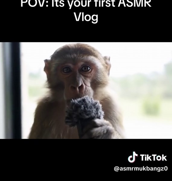 Let me know in the comments down below what i should do for the next vlog!❤️ #asmr #vlog #fyp #monkey #beginner #tingles #relaxing #pov