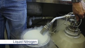 'The Periodic Table of Videos' which explains all 118 elements of the periodic table in an easy-to-understand experimental movie