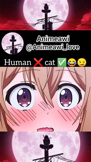 human ❌ cat ✅😺😂#animation #animetoons #anime #animeedit #animeshorts #memes