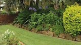 Garden Bed Design - Gardening Australia