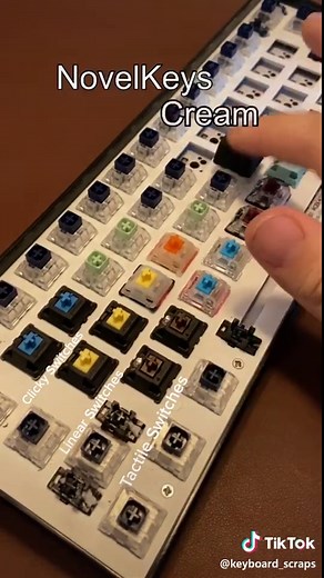 Spice of life #mechanicalkeyboard #asmr #fyp #diy #customkeyboard #gamingpc #gaming #gamingkeyboard #custompc #howto #keyboard #foryou #foryoupage