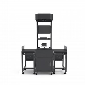 [Hot Item] Advanced Z-Type Sorting System for Efficient Logistics Management