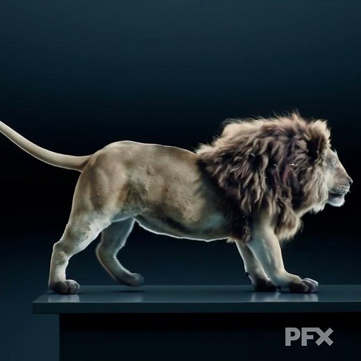 CGI Lion VFX Breakdown