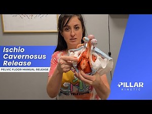 Ischio Cavernosus Release | Pelvic Floor Manual Release