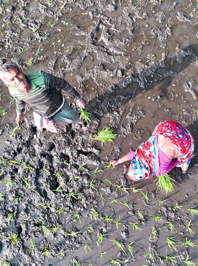 Hilarious Drone Prank Reaction by a Husband and Wife