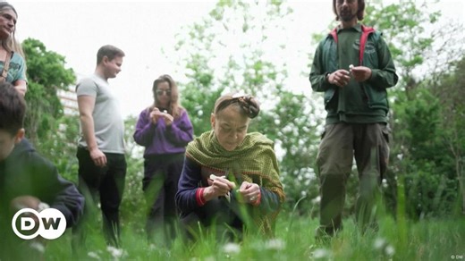 Urban foragers reconnecting with nature