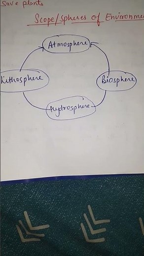 Scope Of Environment