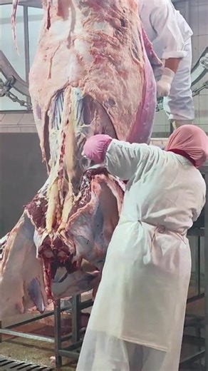 Slaughtering and processing of high-quality beef products