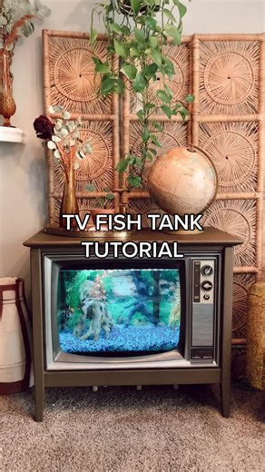 Up cycling my 1960’s tv into a fish tank. 🐠🌿 #fishtank #aquarium #vintage #upcycle #thrifted #thriftedhome #shopsecondhand