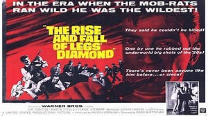 The Rise and Fall of the Legs Diamond 1960- Ray Danton Karen Steele Elaine Stewart Jesse White Simon Oakland Robert Lowery Judson Pratt Warren Oates Dyan Cannon