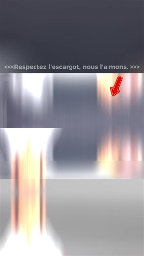 Transfert d'escargot géant : expérience amusante et respectueuse