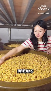 What Is Corn Wine? #cornwine #traditionalbrew #fblifestyle #fermentation #yeastpowder | Wild Heart