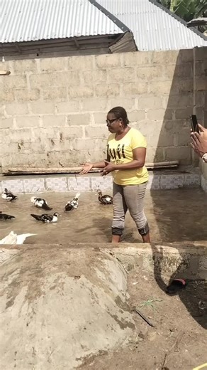 Starting 2026 with Agricultural Innovations in Livestock