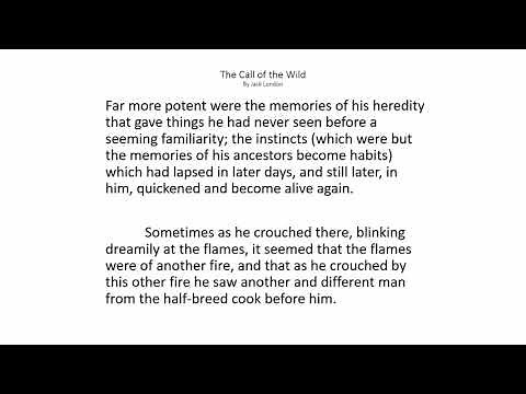 The Call of the Wild Chapter 4