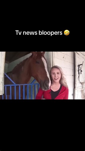 Hilarious TV News Bloopers: Funny Moments & Fails