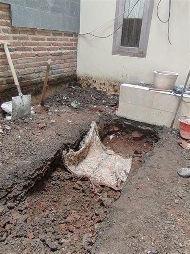 Building a Beautiful Koi Pond: Tips and Tricks