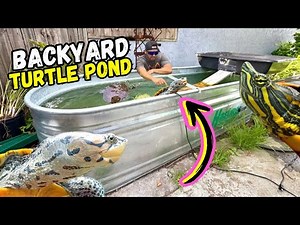 STOCK TANK Converted Into An OUTDOOR TURTLE POND!