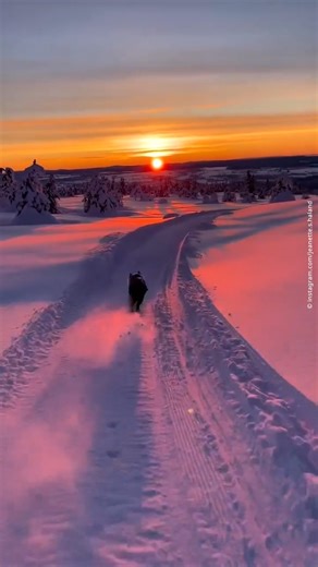 Skiing through the great outdoors with our canine companion, we glide into the sunset. You’ll find this winter wonderland in the Norwegian skiing area of Sjusjøen. Boasting some 350 km of cross-country skiing trails, it’s one of Norway’s most famous skiing destinations.⁠ 📍 Sjusjøen, Norway 🎥 instagram.com/jeanette.s.haland #dwtravel | DW Travel