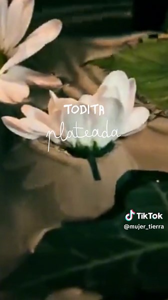 Decret - Natalia Doco | Letra de la Canción Completa