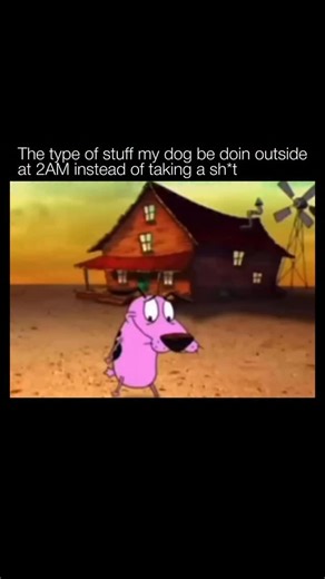 🤔 A dog is a domesticated mammal belonging to the species Canis familiaris, a subspecies of the gray wolf (Canis lupus) that humans began selectively breeding at least 15,000–40,000 years ago, making it the first animal ever domesticated. Through thousands of years of selective breeding for different tasks—herding, hunting, guarding, companionship, and more—dogs have evolved into hundreds of distinct breeds with remarkable variation in size, shape, coat, temperament, and ability. From the tiny 