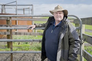 It’s the least you can do: How to make life-saving improvements to your cattle yards