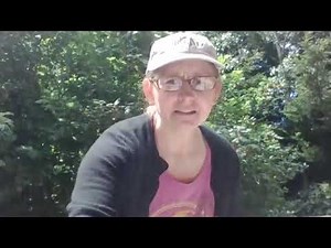 Point counts with distance sampling - habitat data + distance measurement