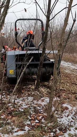 22K views · 446 reactions | Not your ordinary tractor attachment. This brush mulcher does what your brush hog won’t. #brush #woods #trees #satisfying #asmr | Outdoors with Erik | Facebook