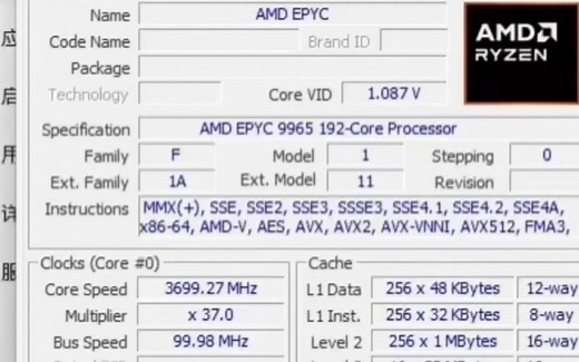！重制版~！双路处理器~AMD EPYC9965*2关超线程性能参数和CPU-Z\ AIDA64\ V-RAY测试得分！感谢粉丝“扫万国吞四洋”提供测试视频！