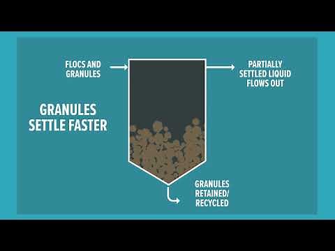Aerobic Granular Sludge