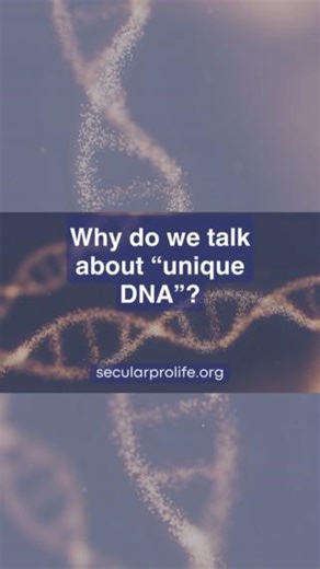 15K views · 528 reactions | Theoretically we could clone a human and the new human would have the same DNA as her predecessor. But she would still be a separate person with her own rights. It's not about the DNA, it's about being a new human organism. Watch the full episode of “I’m A Pro-Life Atheist” on The Spillover: https://ow.ly/jX0M50Vtgyx | Secular Pro-Life | Facebook