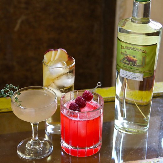 3 Cocktails to Make with Bison Grass Vodka