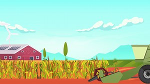 Achieve greater tip fill and more kernels per row using YieldON! Add to your crops this season and see the YieldON difference! Learn more at: https://bit.ly/3hP0Zzt | Syngenta Biologicals