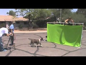 Behind the Scenes: Scud