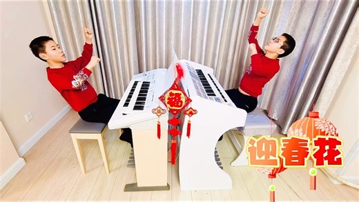 🎶《迎春花》🎶#吟飞电子管风琴[话题]##双排键[话题]##过年[话题]##同城[话题]#