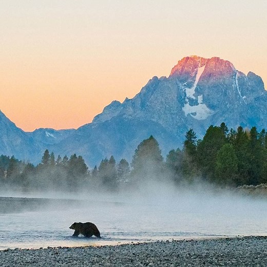 1K reactions · 104 shares | Class Sale: Just $29 today (reg. $149)! In this 24 lesson class, legendary nature photographer Tom Mangelsen discuses the complex process behind his breathtaking wildlife photographs. | CreativeLive | Facebook