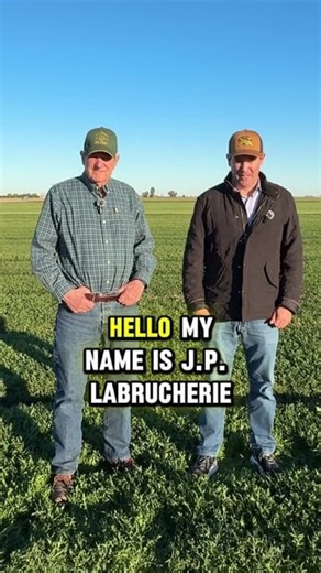 In the next episode of our #ImperialValley series, we visit multigenerational farmers J.P. LaBrucherie and his dad, Tim, in an arugula field just before harvest. They share how their family came to the Valley from France and how much of what they grow here travels far beyond California, reaching plates in cities like New York and Washington, D.C. #LaBrucherieProduce #Arugula #Farming #CaliforniaAg #WesternGrowers | Western Growers