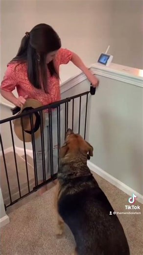 Baby Gate Pranks Go Viral | 15M+ Views #fyp #mostviralvideo