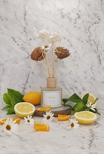 Citrusy - Room Diffusers - Etsy Australia