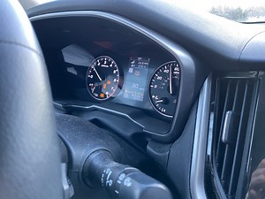 Anybody encounter numerous dashboard warnings after cold...