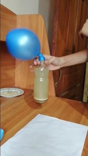 Grade 8#science#1 lesson#Activity 1.3#Shorts