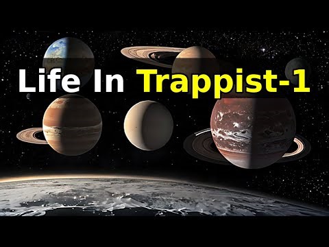 The Search for Life in the TRAPPIST-1 System: A New Home?