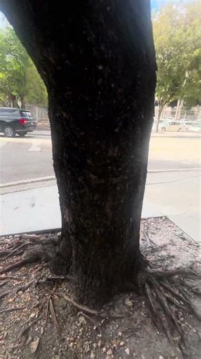 Noisy code violation