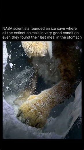 ice age found by nasa🧐 #shortsvideo #animallife #animals #ice#iceage4