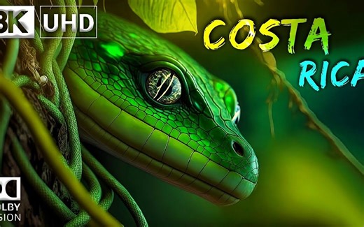 测试屏幕 极致色彩 4K 8K HDR画质测试屏幕8K 极致HDR色彩体验 视觉体验 哥斯达黎加 8K 视频超高清 60FPS_哔哩哔哩_bilibili