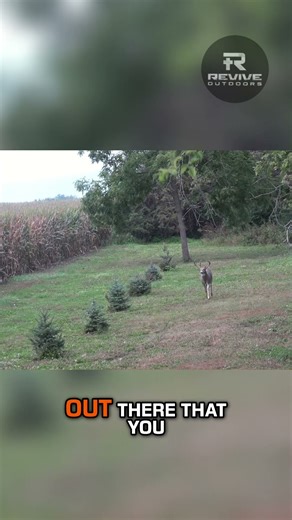 Hunting 101 Learn to Hunt Deer and Turkey with Us!