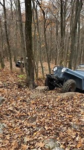 Who put that tree there? 🌳 | Seth Hensler