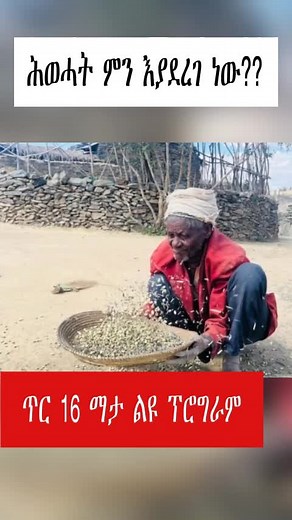 ethio forum news on TikTok